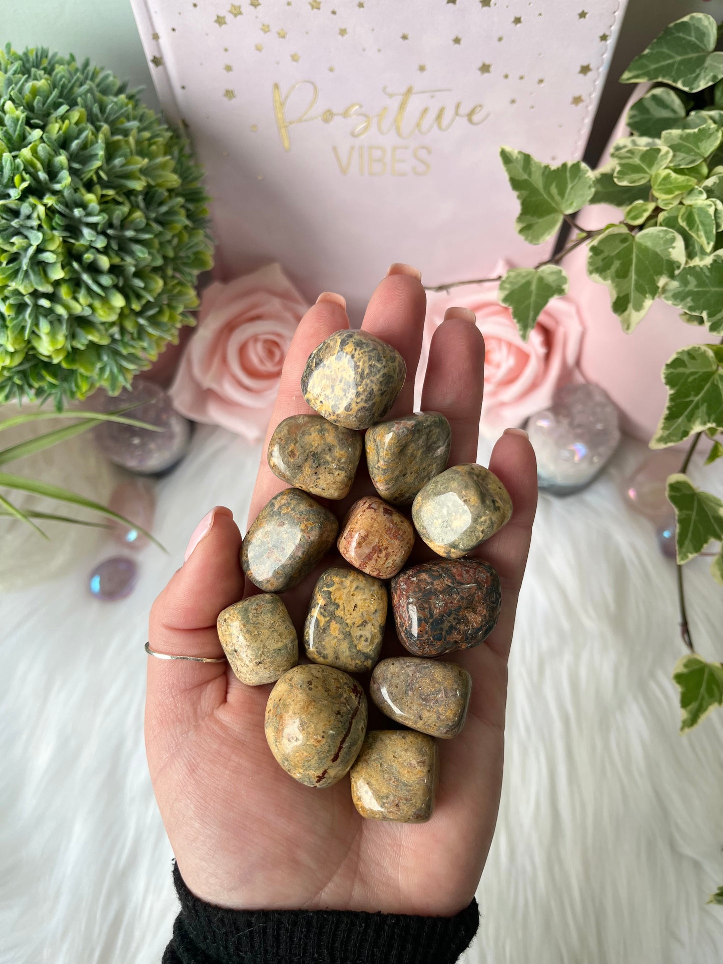 Leopard Skin Jasper