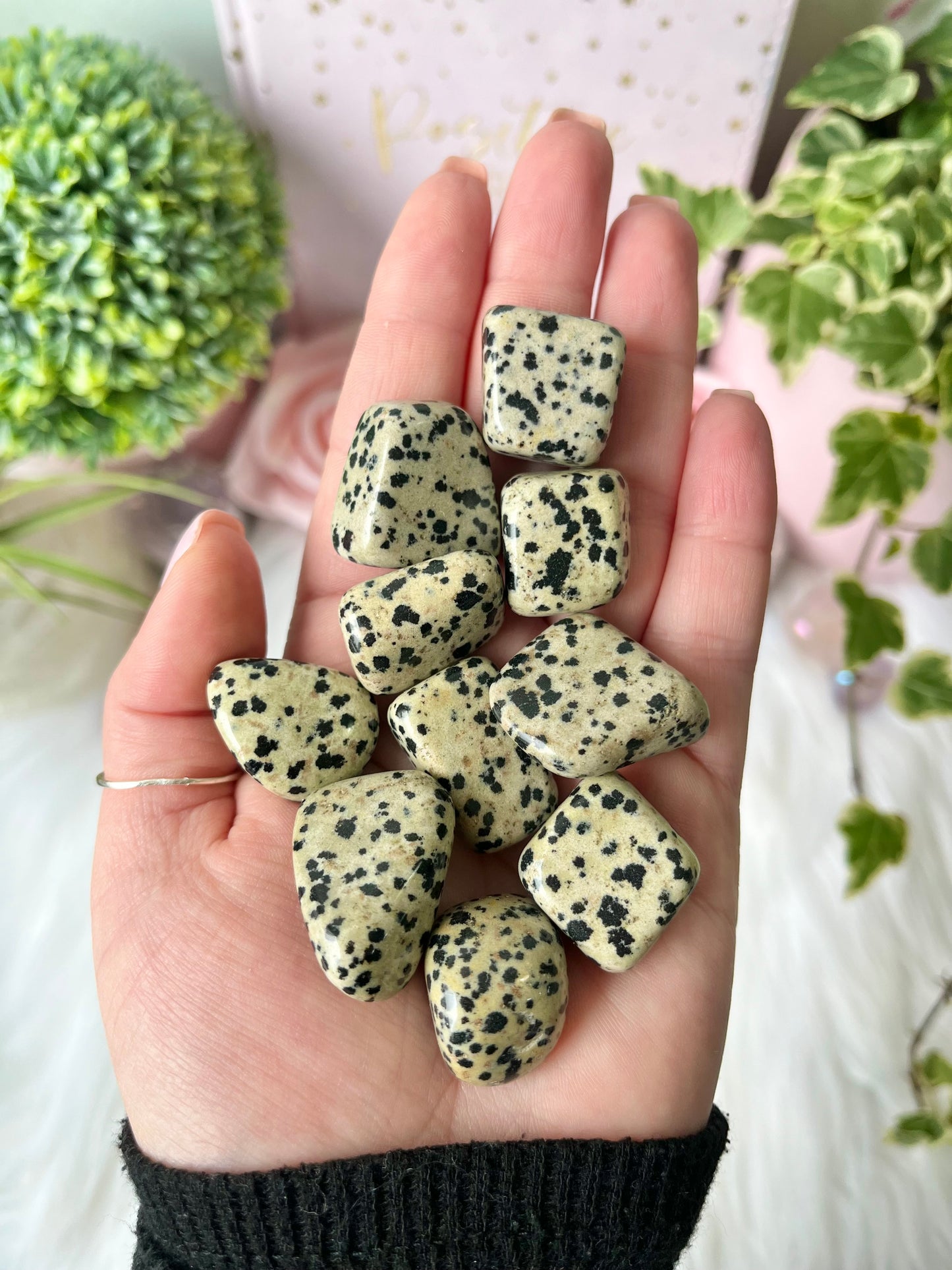 Dalmatian Jasper Tumbles