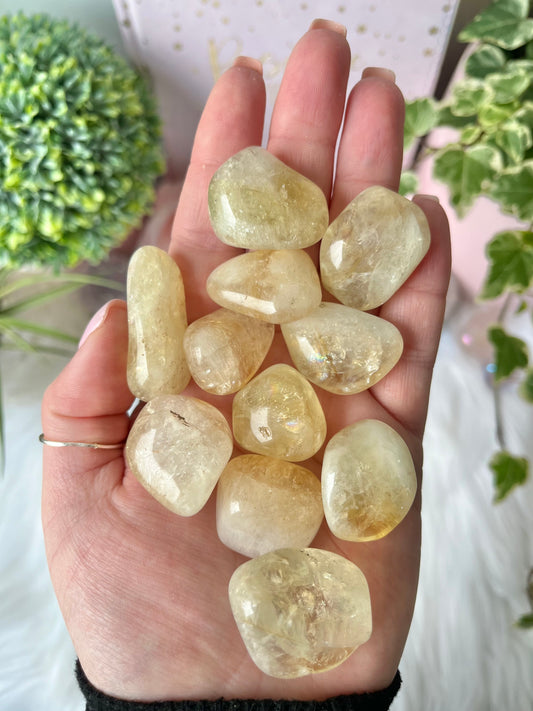 Citrine Tumbles (Heat Treated)