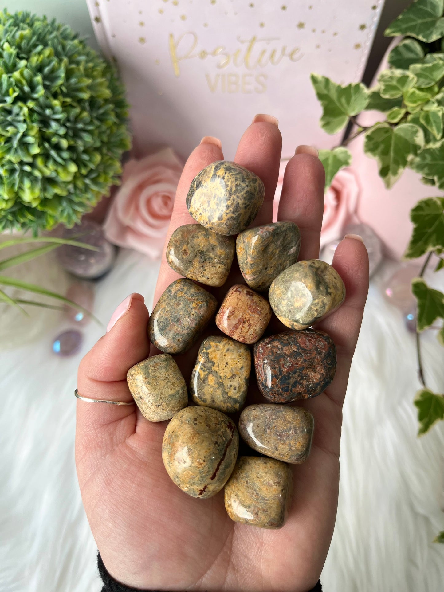 Leopard Skin Jasper Tumbles