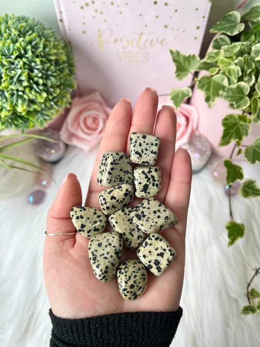 Dalmatian Jasper Tumbles