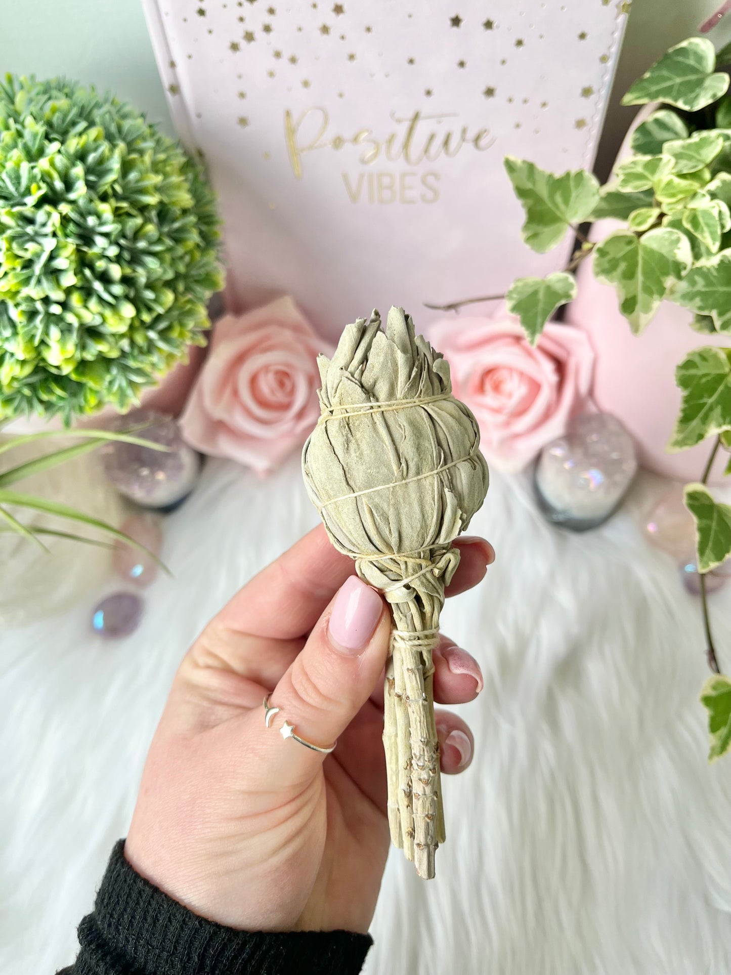 California White Sage